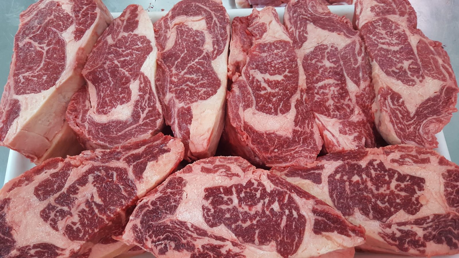 Vacuno premium Bos Taurus con marmoleo